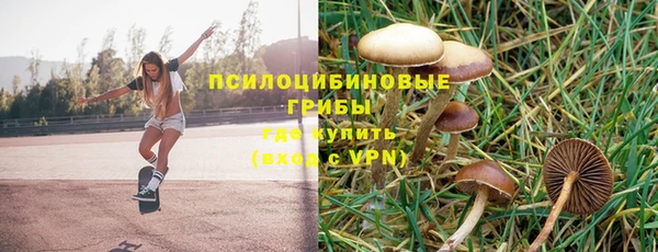 каннабис Алзамай