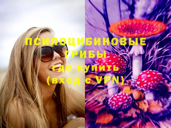 стаф Алексеевка