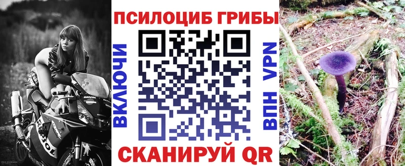 Галлюциногенные грибы Magic Shrooms  Новое Девяткино 